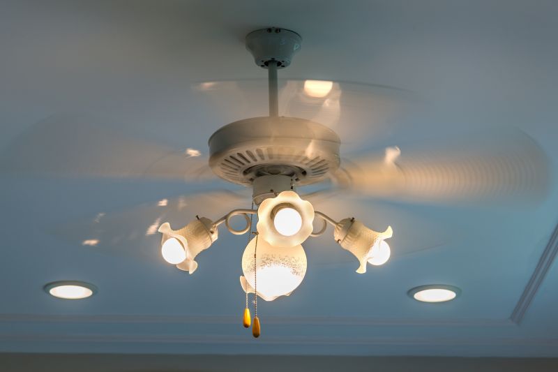 Ceiling Fan Installation in Olathe, KS